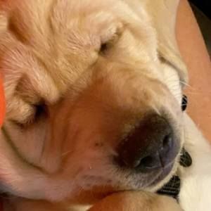 Meet your Posher, Aaron